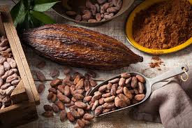 Recepción de cacao